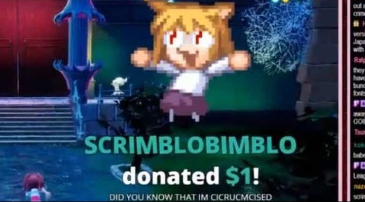 stream donation popup, with a neco arc gif, and the text 'did you know that im circumcised'